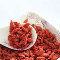 Dried Goji Berry with High Quality From China